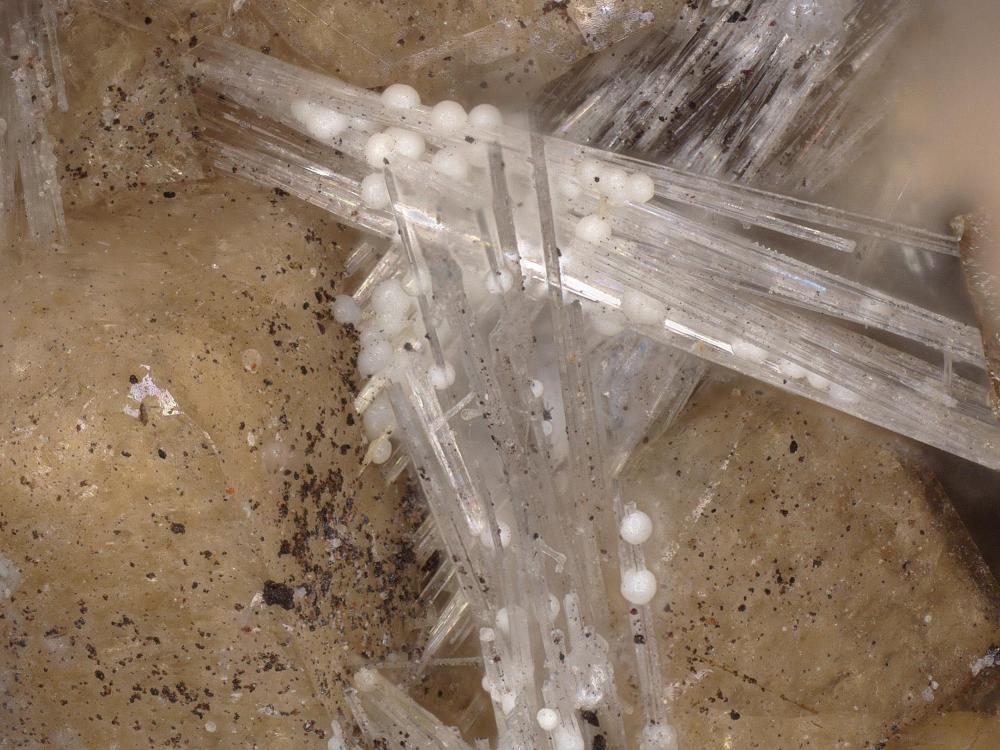 Jennite with Bultfonteinite & Poldervaartite